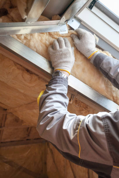 Best Cellulose Insulation in Lansford, PA